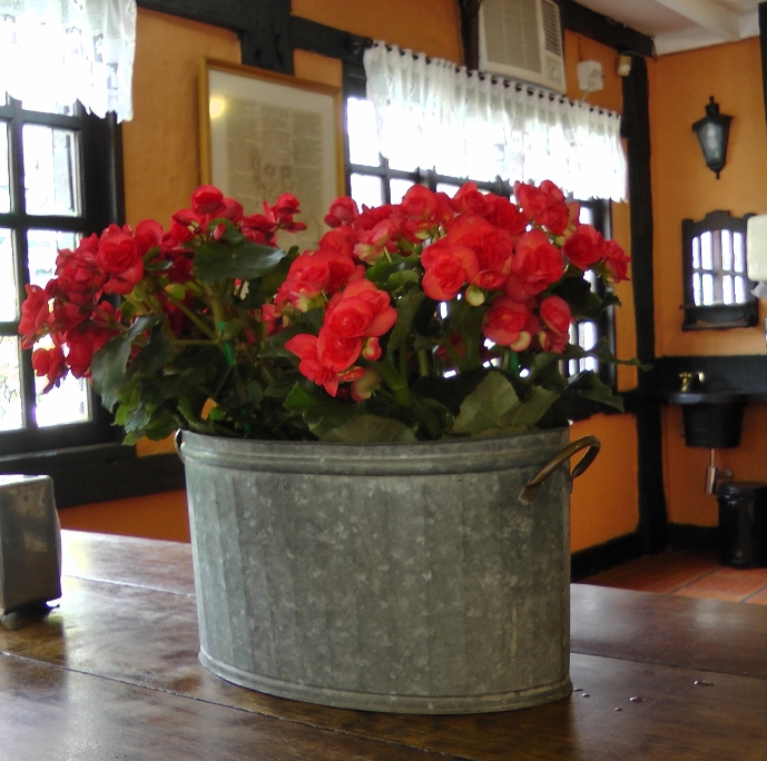vaso de lata com flor vermelha estilo rústico