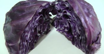 COMO MEDIR O PH DO REPOLHO ROXO
