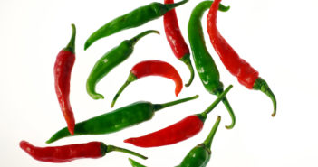 Como Plantar Pimentas pimentas chilies