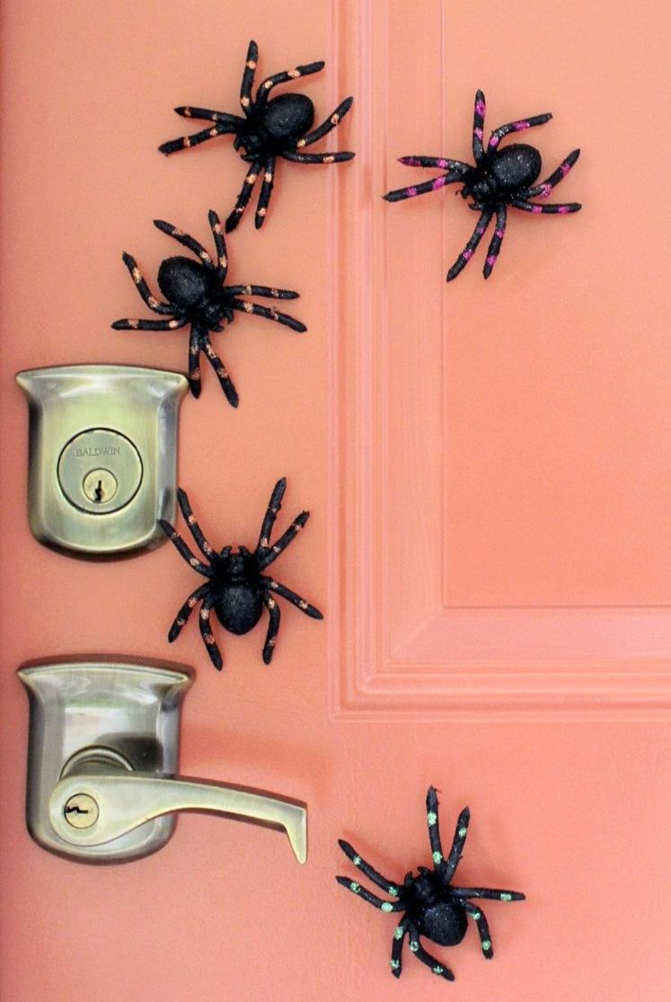 aranhas de plastico magnetica espalhadas na porta 
