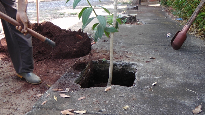 adicionando terra no buraco