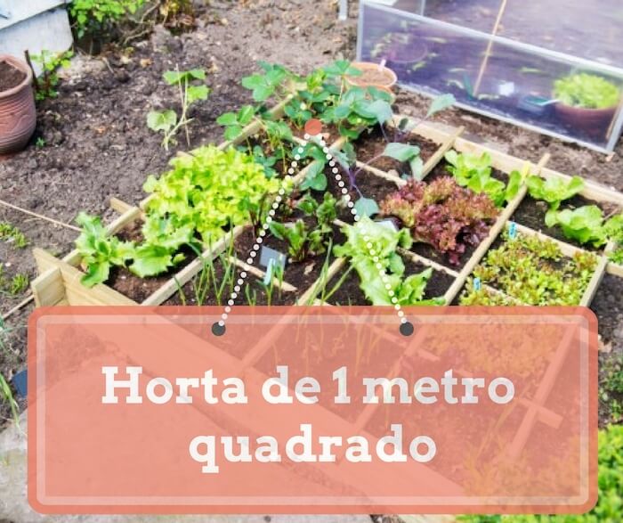 horta de 1 metro quadrado