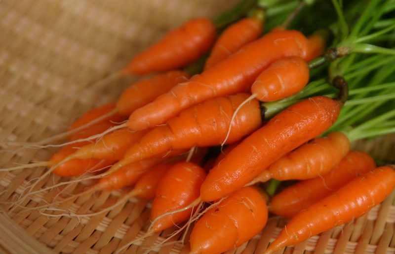 mini cenoura
