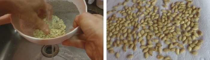 lavar e secar sementes de abóbora