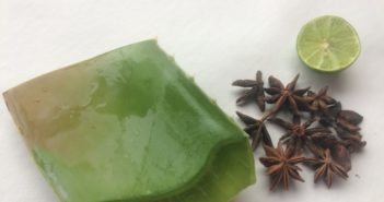 aloe vera, anis-estrelado e limão são os ingredientes par fazer tônico anti-rugas