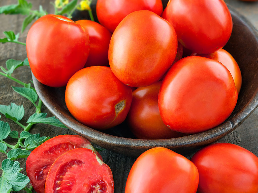 8 Maneiras Diferentes de Plantar Tomates