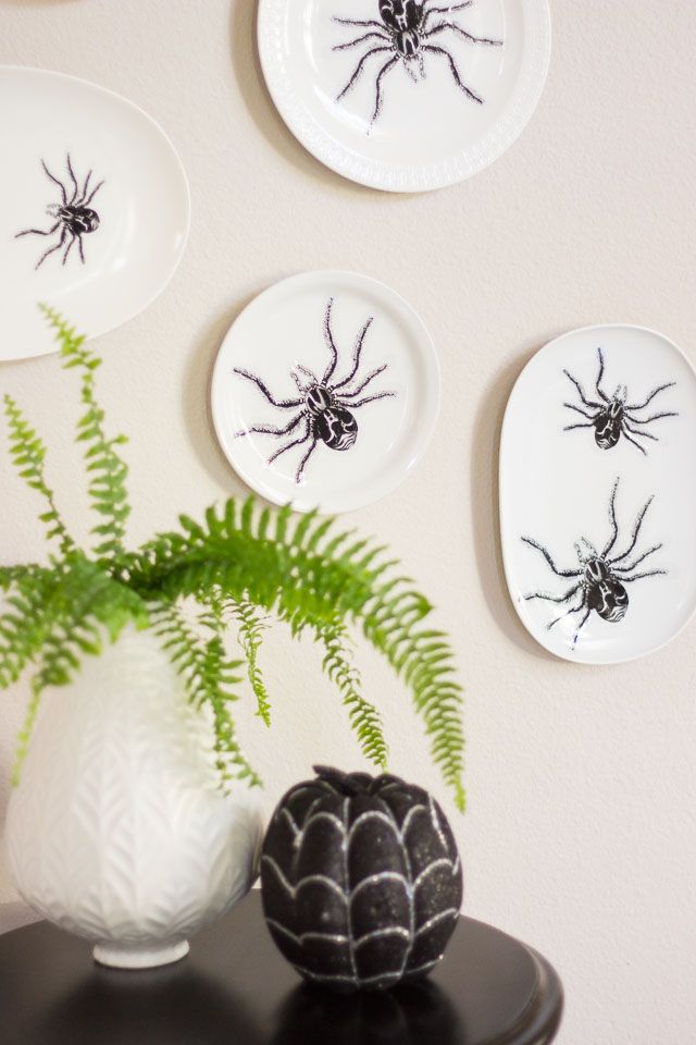 pratos com aranhas desenhadas pendurados na parede