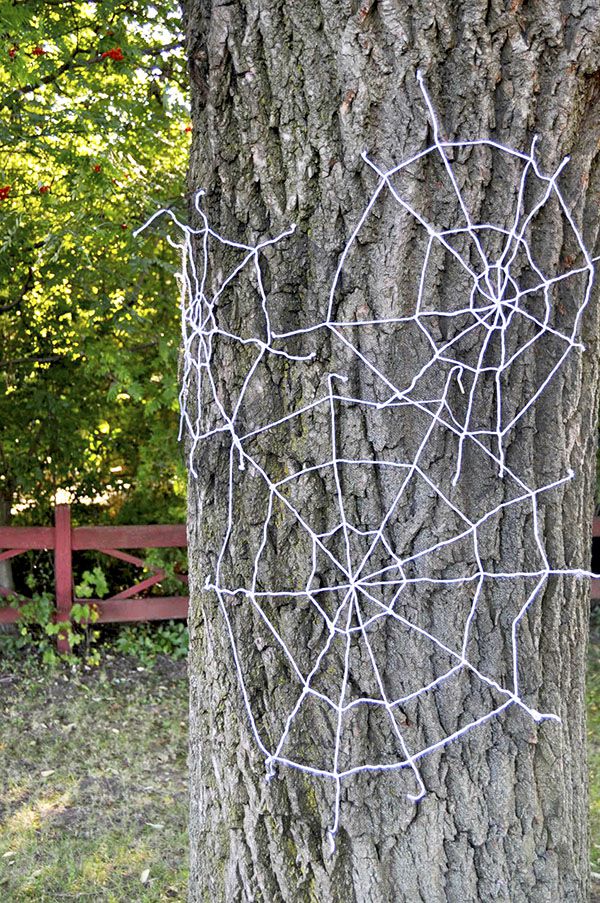 arvore rodeada de várias teias de aranha 