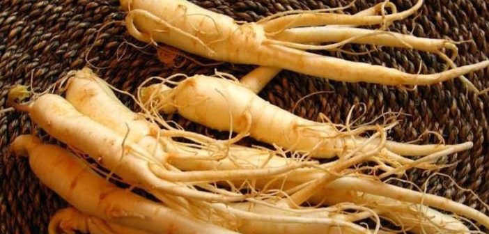 varios ginseng dentro de uma cesta