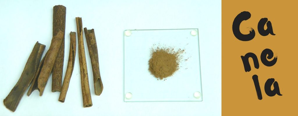 Benefícios da canela nas plantas: usando canela para pragas, fungicidas e cortes canela em pó e canela em pau