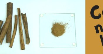 Benefícios da canela nas plantas: usando canela para pragas, fungicidas e cortes canela em pó e canela em pau