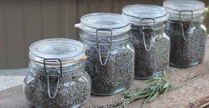 frascos de lavanda para conservar