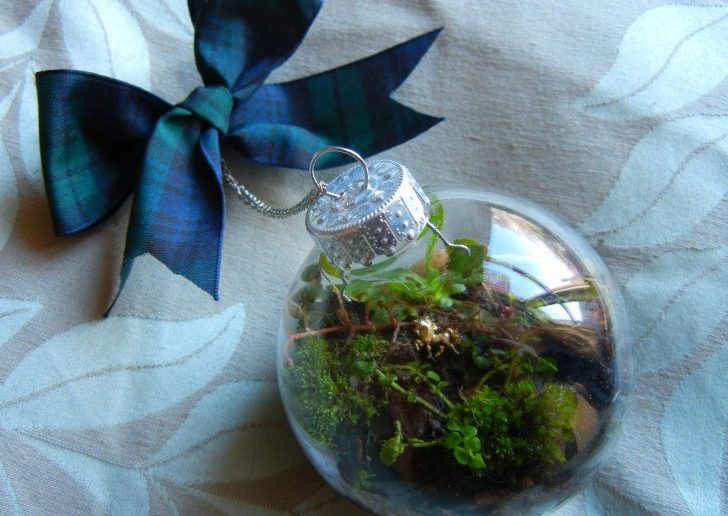 bolinha de natal de vidro com plantas dentro