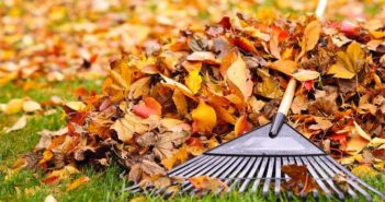 Como cuidar do jardim no Outono muitas folhas no jardim com ancinho