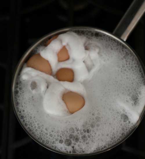 fervendo cascas de ovos 