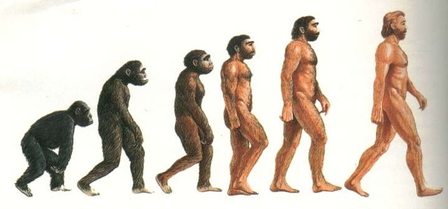 A Evolução do Investidor