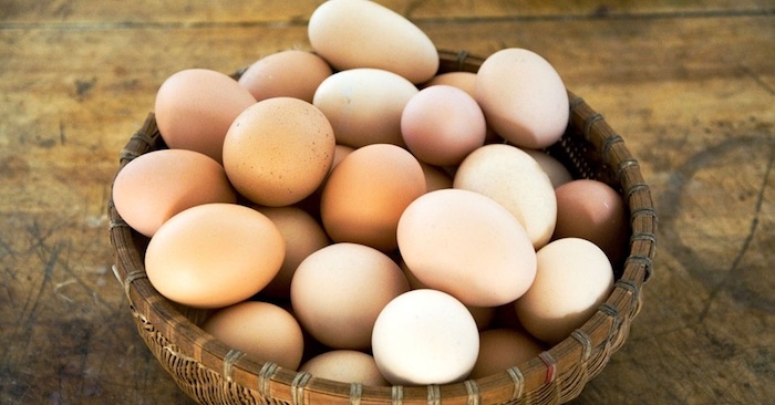A importância da diversificação (ou porque não colocar todos os ovos na mesma cesta)