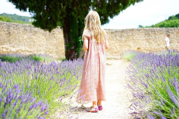 campo de lavanda com criança passeando