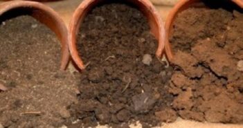 Como melhorar o solo da horta ou jardim