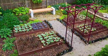 Guia para o espaçamento correto de verduras, frutas e ervas horta caseira