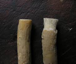 pau de Miswak