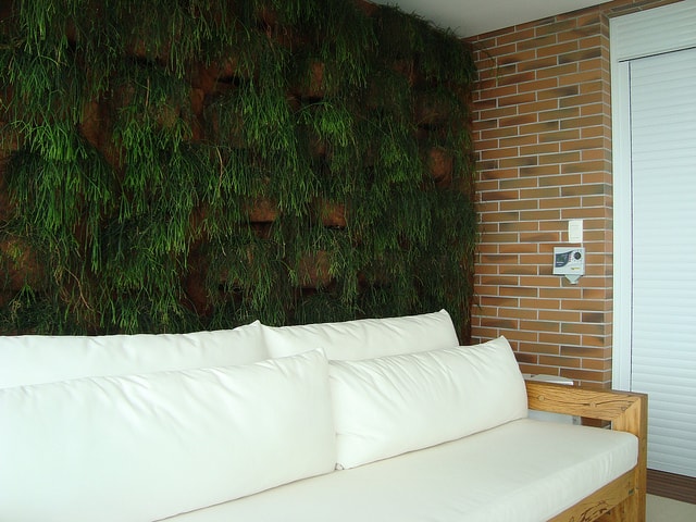 parede inteira com plantas 