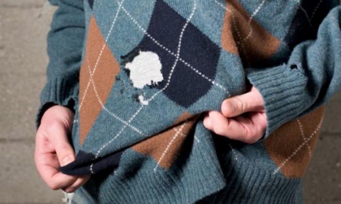 Como Identificar e Eliminar 6 Insetos Que Fazem Buracos na sua Roupa