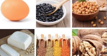 Top 10 Alimentos alto em Proteína e Sem Carboidratos alimentos ricos em proteínas