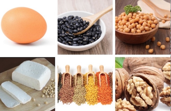Top 10 Alimentos alto em  Proteína e Sem Carboidratos