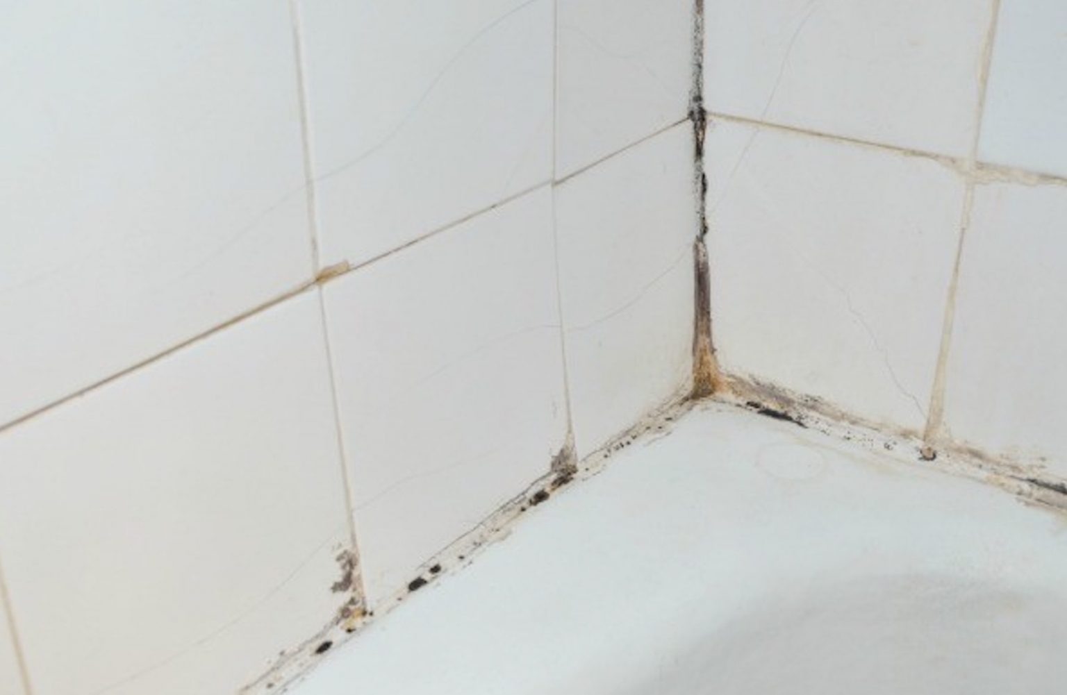 Maneiras Fáceis de Prevenir e Remover o Mofo de Dentro de Casa paredes de banho com mofo