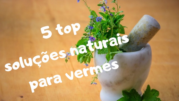 5 Maneiras naturais de se livrar de vermes intestinais