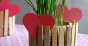 DIY Vasos de plantas feito com prendedores de roupa