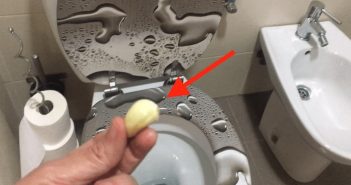 Coloque 1 alho no vaso sanitário e no dia seguinte vai ficar em choque