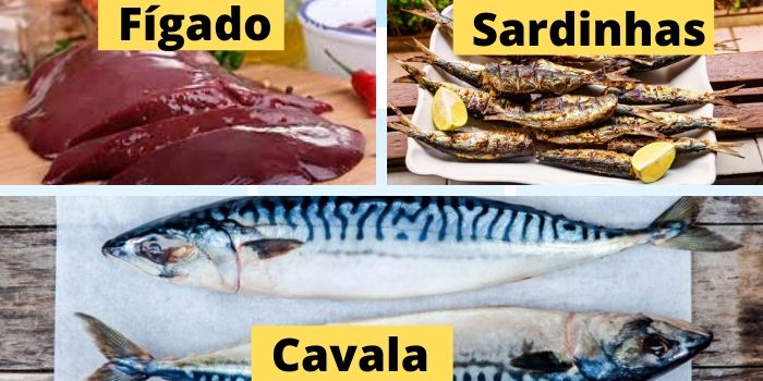 fígado, sardinha, cavala