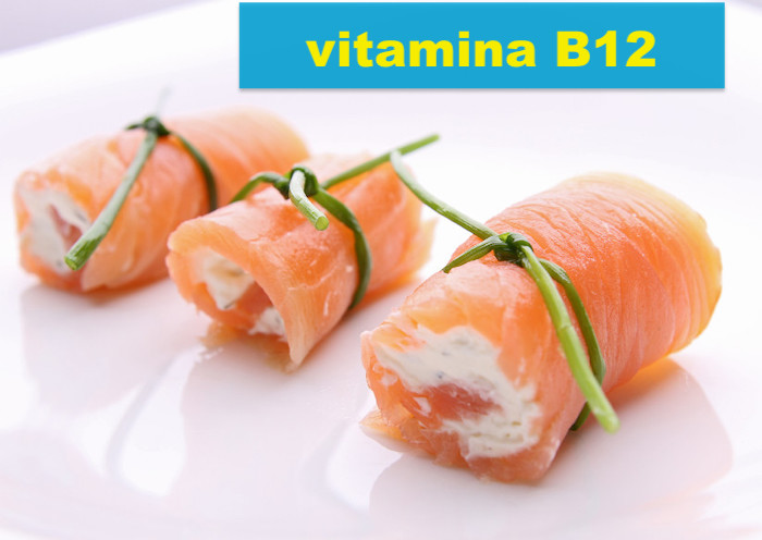 Top 10 alimentos com vitamina B12