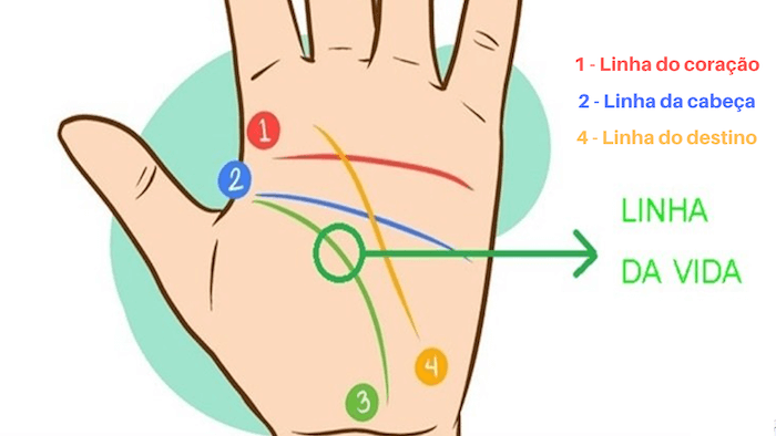 Linhas da palma das mãos