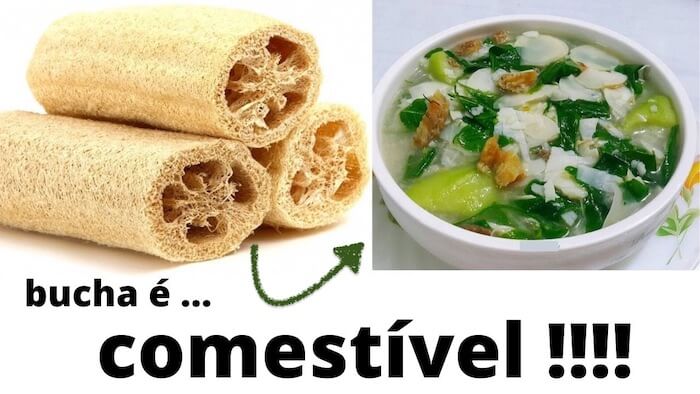 9 Maneiras de usar a bucha vegetal que você não sabia