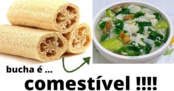 9 Maneiras de usar a bucha vegetal que você não sabia bucha vegetal