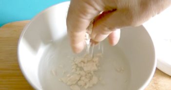 Fermento para fertilizar as plantas fermento nas plantas