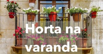 O que plantar no TERRAÇO, VARANDA OU TELHADO PLANTAS NA VARANDA