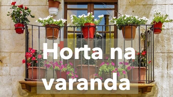 O Que Plantar no TERRAÇO, VARANDA OU TELHADO - Assim que Faz