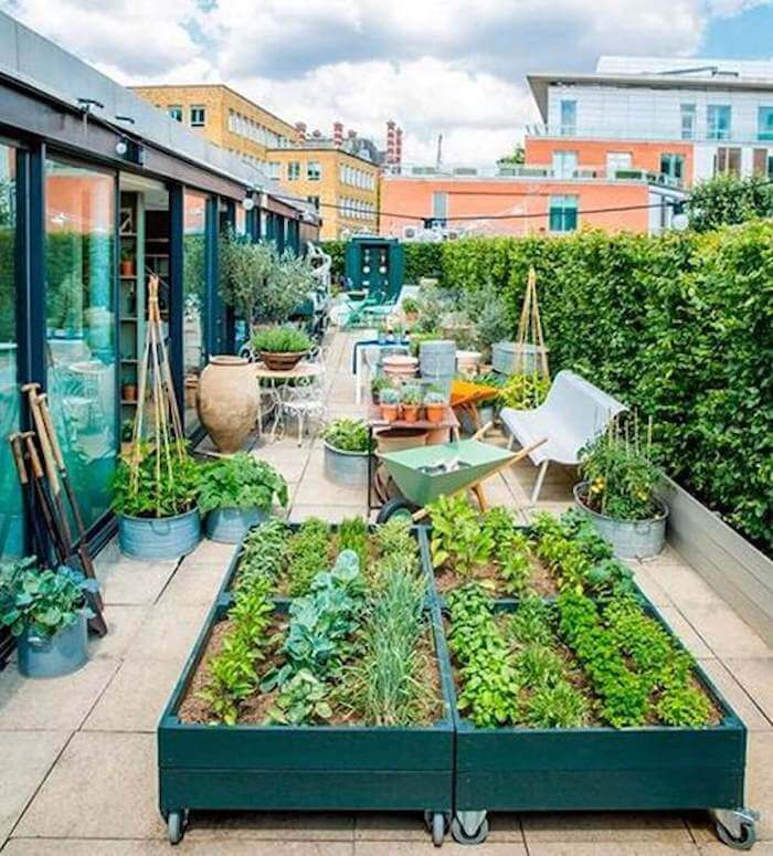 TERRAÇO COM PLANTAS 