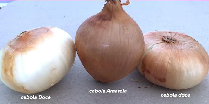 cebolas