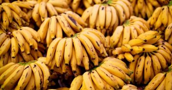 As cascas de banana são tóxicas?