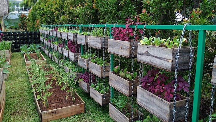 caixas suspensas de vegetais 