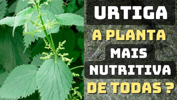 URTIGA é a planta mais nutritiva QUE EXISTE ?