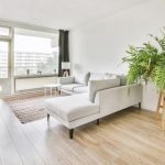 Sala decorada com plantas: Saiba como deixar a sua irresistível