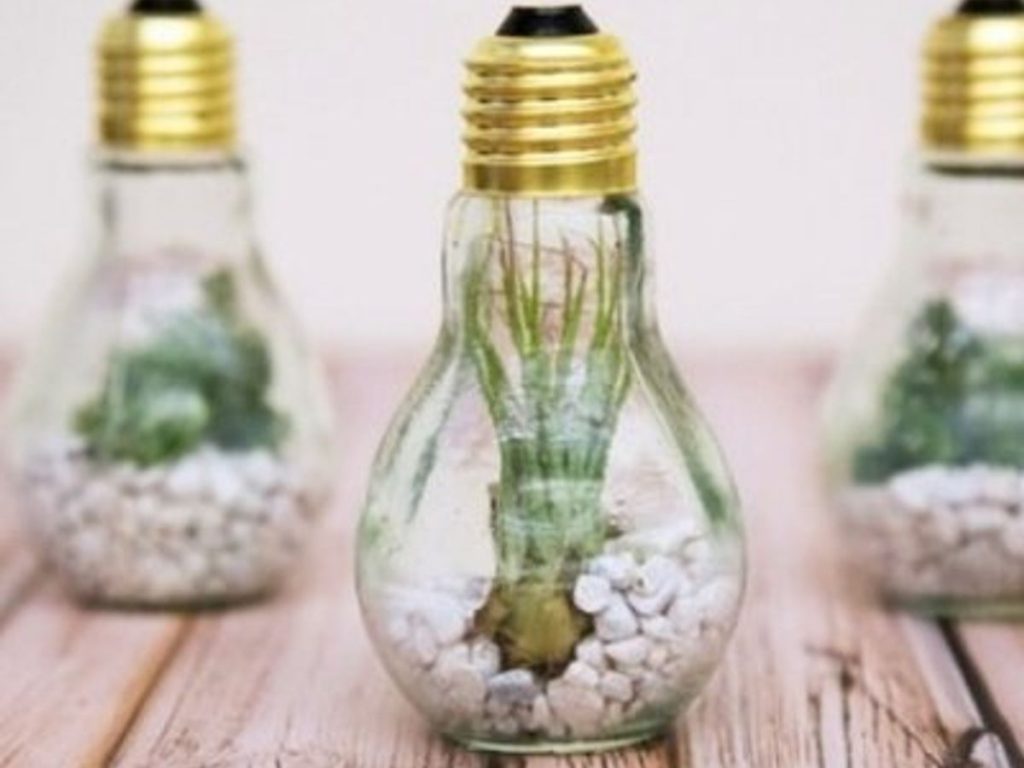 Formas de Reutilizar Lâmpadas velhas e usadas
